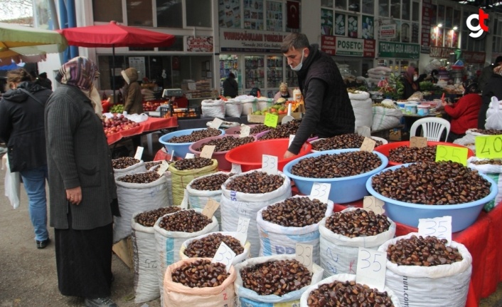 Sinop'ta bol yağış kestane rekoltesini 500 tona çıkardı