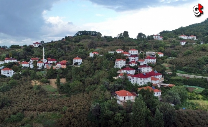 Güzelcehisar'da turizm altyapısı güçlendirme çalışmaları sürüyor