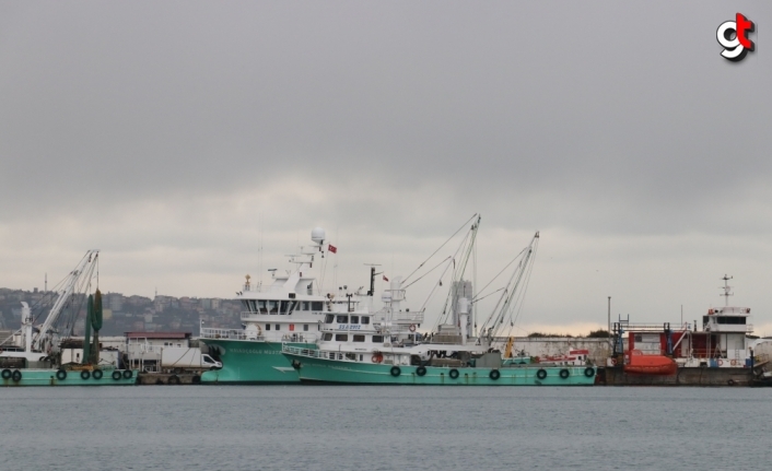 Karadeniz'de düşmeyen deniz suyu sıcaklığı avcılığı olumsuz etkiliyor