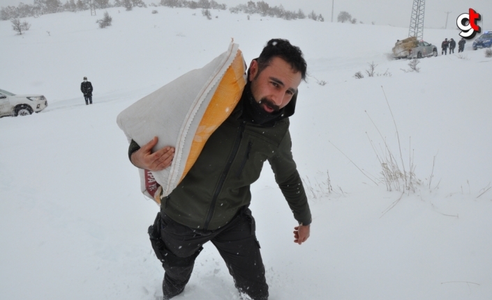 Gümüşhacıköy Kaymakamı Altınöz, yaban hayvanları için doğaya yem bıraktı