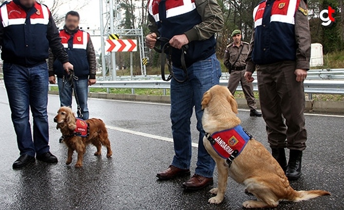 Samsun’da uyuşturucu operasyonu, 32 gözaltı