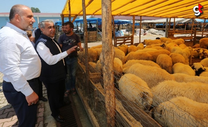 Başkan Sandıkçı Hayvan Pazarı’nı Ziyaret Etti