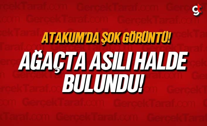 Samsun’da ağaca asılı halde bir kişi bulundu