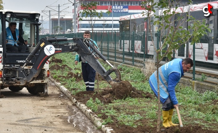 Tekkeköy’de 1500 fidan toprakla buluştu