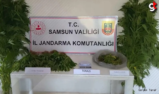 Samsun Çarşamba’da Jandarmadan uyuşturucu operasyonu